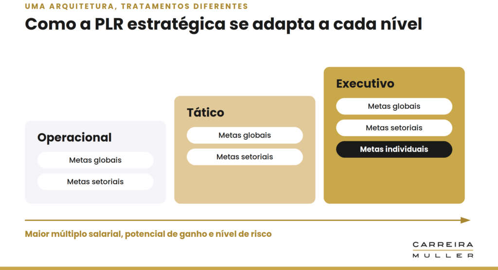 plr-estrategica-por-nivel