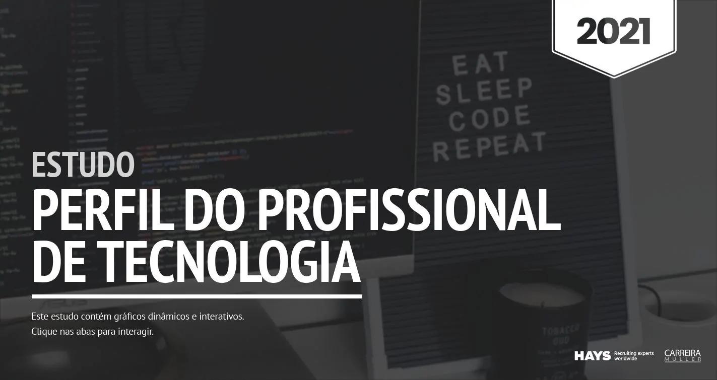 13. Perfil do Profissional de TI